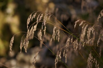 Autumn in the mountains