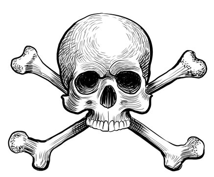 Skull and crossed bones. Hand-drawn black and white illustration