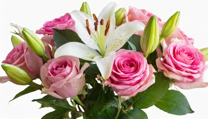 pink roses and lily isolated on a transparent background png file floral arrangement bouquet of garden flowers can be used for invitations greeting wedding card