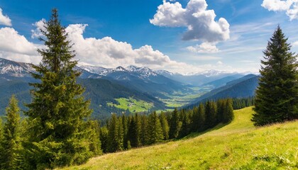 mountain landscape on a sunny day beautiful alpine countryside scenery with spruce trees grassy meadow on the hill rolling down in to the distant valley clouds on the blue sky