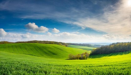 green spring field panorama