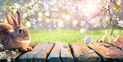 Easter - Cute Bunny On Table With Cherry Flowers In Sunny Garden - 735460740