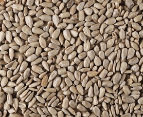 Sunflower seeds peeled background and texture