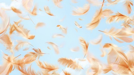 Soothing Blue Powder Background Adorned with Delicate Yellow Feathers