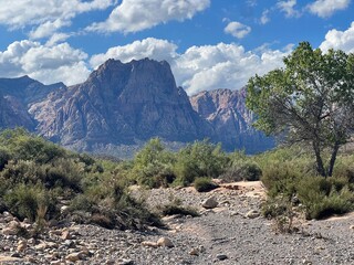 Red Rock Canyon Vista