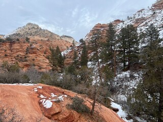 Snow in Zion National Park