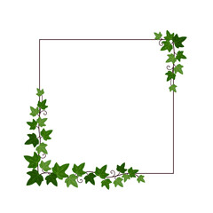 Quadratische Karte mit Efeuranken auf einem Rahmen. Freier Platz für Text. Vorlage für Einladungen, Grußkarten, Social Media Posts und Werbung.