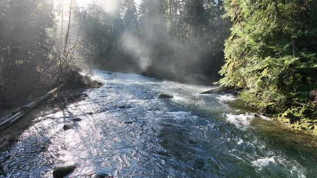 Morning sunlight illuminates mist on Eagle Creek as it flows through a beautiful Oregon forest. The many watersheds throughout the Pacific Northwest are vital habitats for native fish.