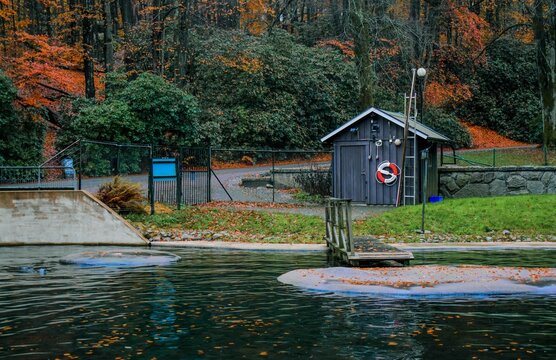 Slottsskogen scenic park and lake in Gothenburg view, Vastra Gotaland County of Sweden. Slottsskogen animal zoo city central park.
