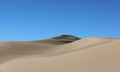 Fototapeta na wymiar sand dunes in the desert oasis