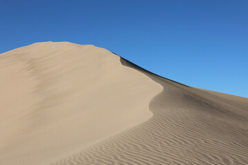 Fototapeta na wymiar sand dunes in a remote desert oasis