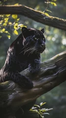 Tuinposter Black panther sitting on a tree in the jungle © Flowal93