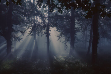 Fototapeta premium Enchanting mystical forest bathed in sunbeams and green foliage