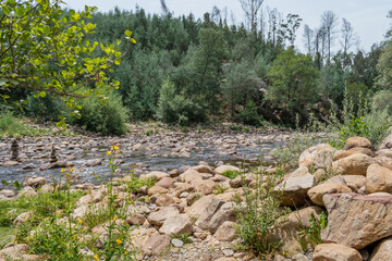 Wild landscape with forest and flowers and river Ceira flowing through rocks, Vila Nova do Ceira PORTUGAL