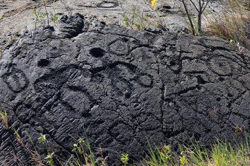 Hawaiian Petroglyphs in Black Lava - Ancient Rock Art in Hawaii