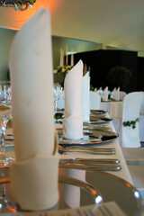 Elegant Banquet Table Setting with Folded Napkin