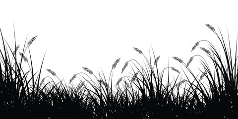 Black Grass Silhouettes on White Backround.