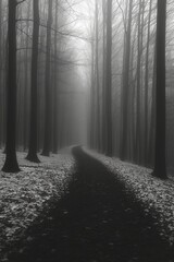 A dramatic creepy haunted path in a dark misty forest with fog.