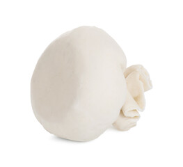 Uncooked khinkali (dumpling) isolated on white. Georgian cuisine