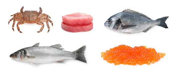 Dorado fish, crab, sea bass, pieces of raw tuna and red caviar isolated on white, set
