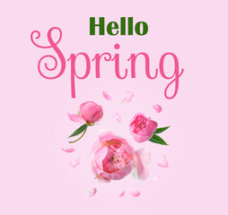 Hello Spring card design with beautiful peonies on pink background