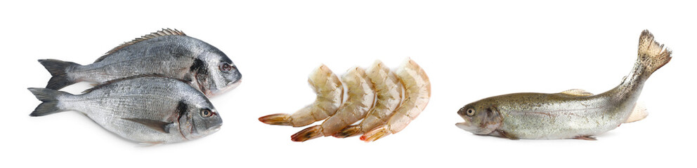 Dorado fish, cutthroat trout and shrimps isolated on white, set