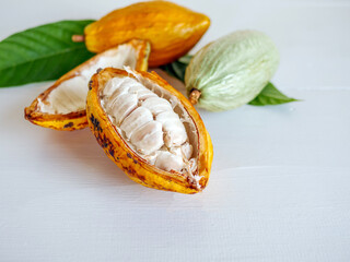 Half sliced ripe yellow cacao pod with white cocoa seed ,Cut in half fresh ripe cacao and green raw cacao fruit on white wooden background