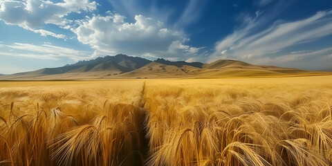 Harmony in Wheat: Captivating Countryside Panorama"