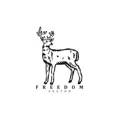 Vintage retro hand drawn wild deer  logo design vector for your brand or business
