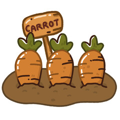 carrot garden cartoon illustration