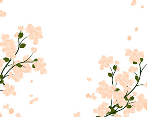 Frame flower plant background. Spring floral border with falling petals.