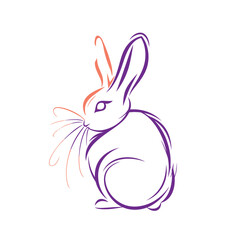 Vector line art rabbit