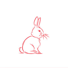 Vector line art rabbit