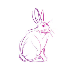 Vector line art rabbit