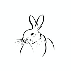 Vector line art rabbit