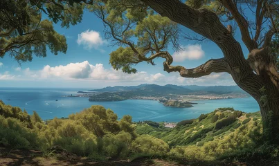 Foto op Canvas panoramic view of an island getaway vista as seen from the top of a mountain © meta-frames