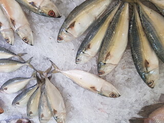 Fresh pompano on ice in supermarket. Whole fish for sale in seafood department. Close up; selective...