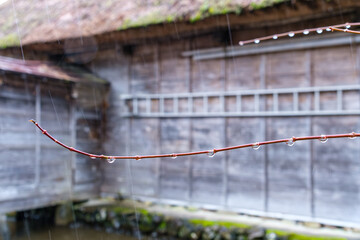 雨の茅葺屋根