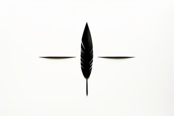 Monochrome Feather on White Background