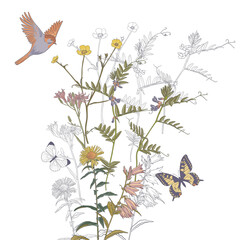 field flowers, bird and butterflies, vector drawing wild plants at white background , hand drawn natural illustration