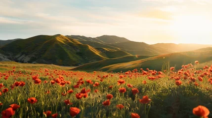 Fototapeten Idyllic Poppy Field on Green Hillside with Red Blooms AI Generated. © ArquitecAi