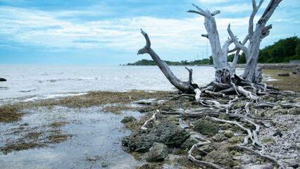 "By the sea, I stand"
Location at Key West, FL