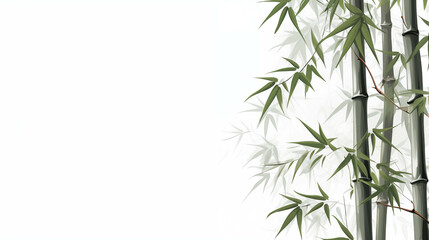 Fototapeta na wymiar Painting of auspicious bamboo trees on a white background.