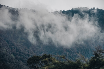Fog over the mountains