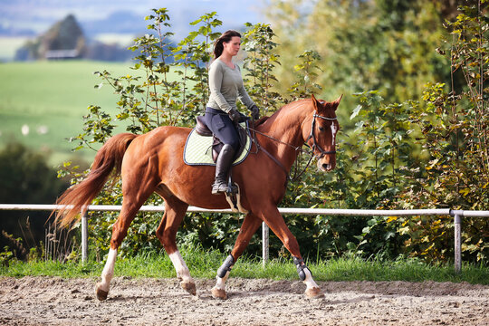 Horse woman rider riding in the sunshine at the riding arena.
