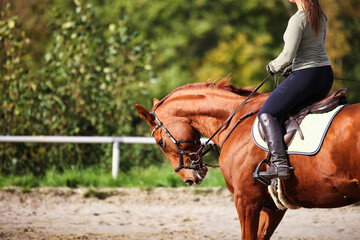 Horse woman rider riding in the sunshine at the riding arena.