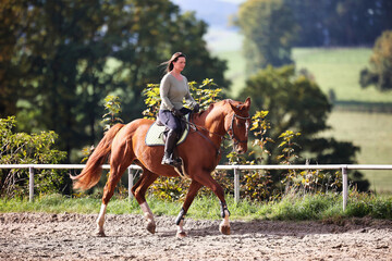 Horse woman rider riding in the sunshine at the riding arena.