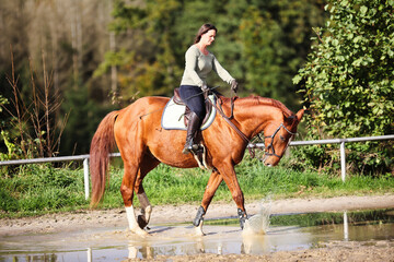 Horse woman rider riding in the sunshine at the riding arena.