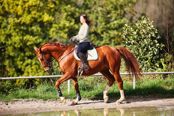 Horse woman rider riding in the sunshine at the riding arena.