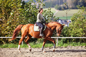 Horse woman rider riding in the sunshine at the riding arena.